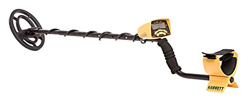 Photo of the Ace 250 Metal Detector